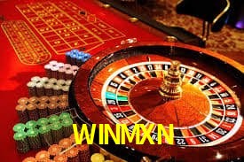 WINMXN Indicadores de vuelo